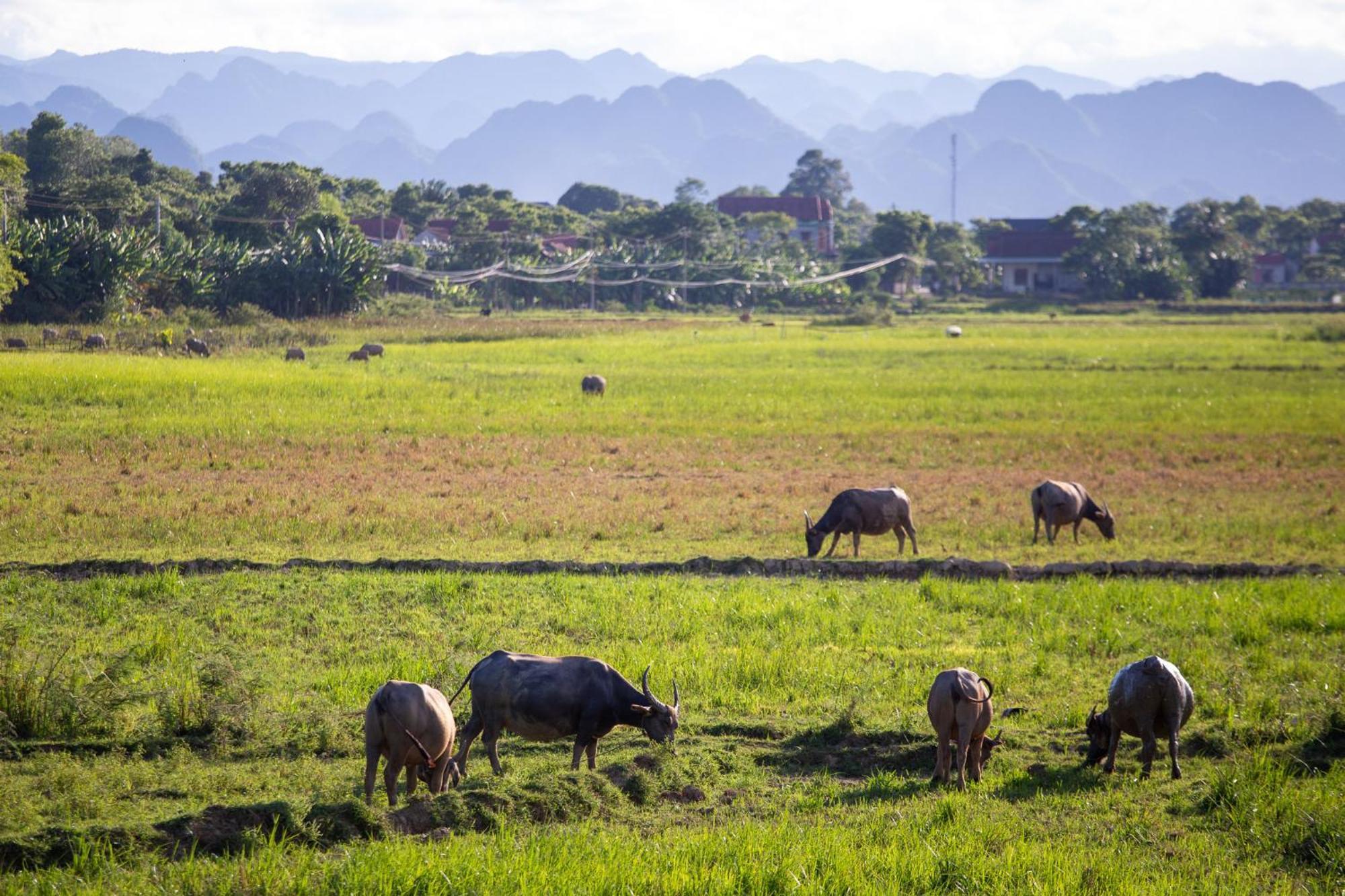 Phong Nha Farmstay Exterior photo